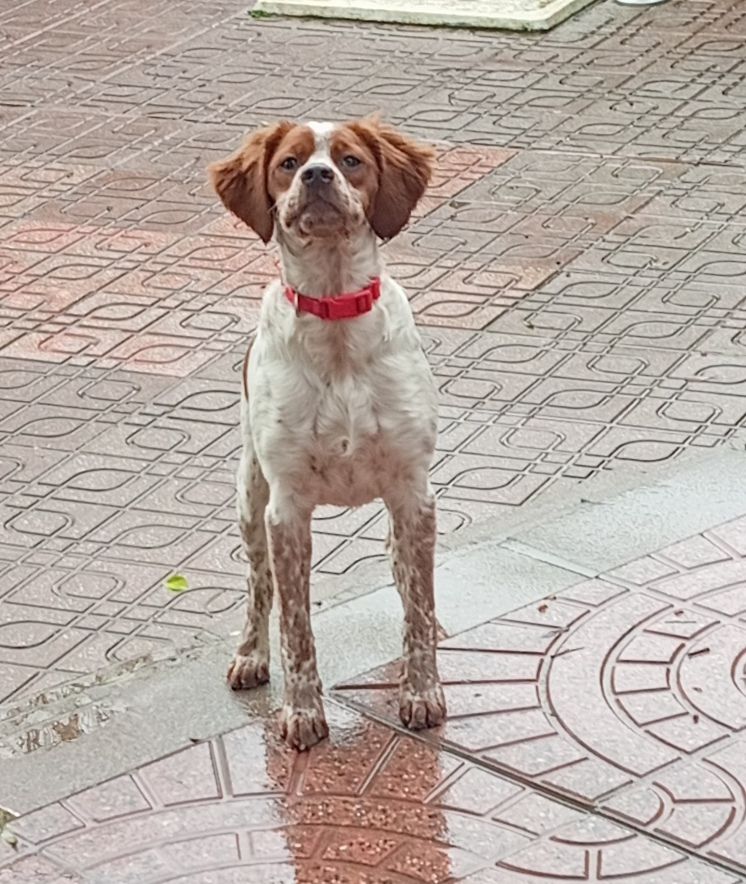 Salsa De Los Majadales