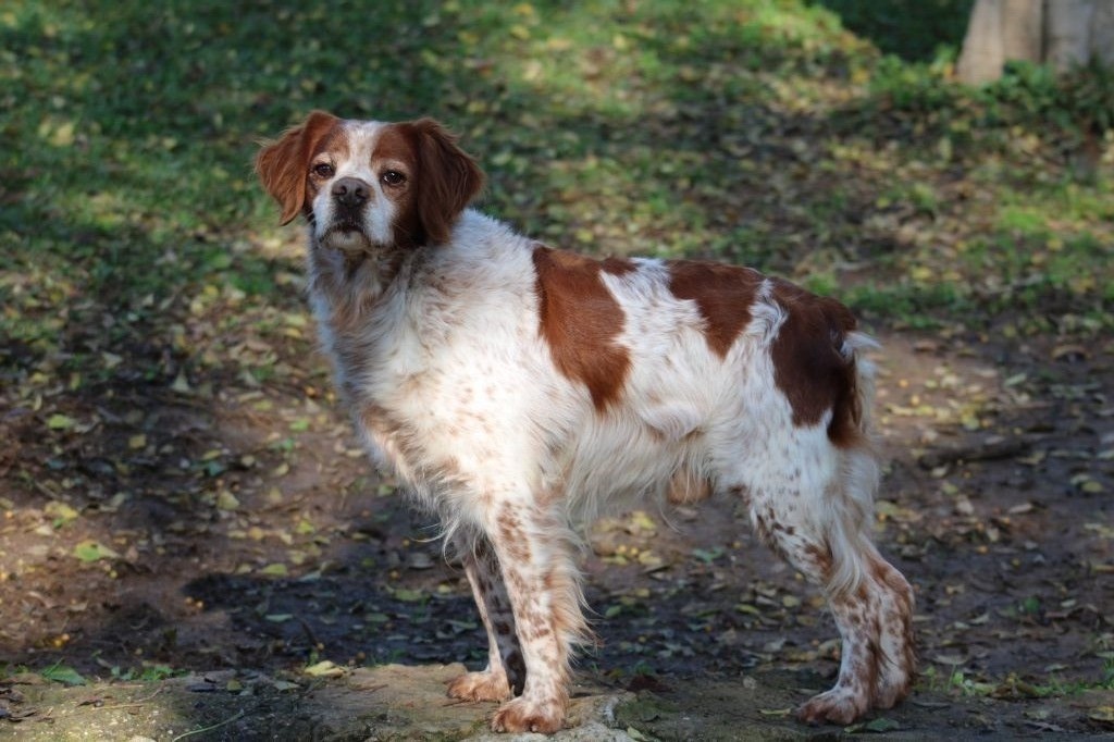 TR. Oko De Los Majadales