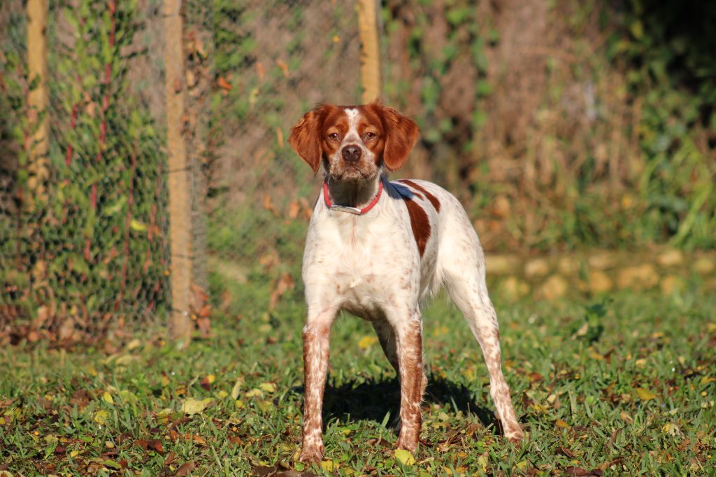 Salsa De Los Majadales