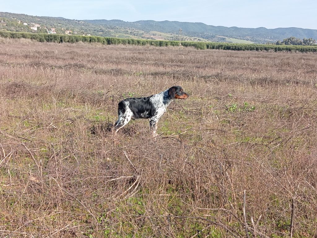 Wally De Los Majadales