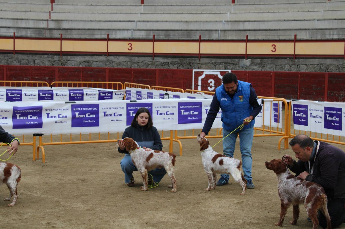 MONOGRAFICA CEEB 2026 NAVALUENGA